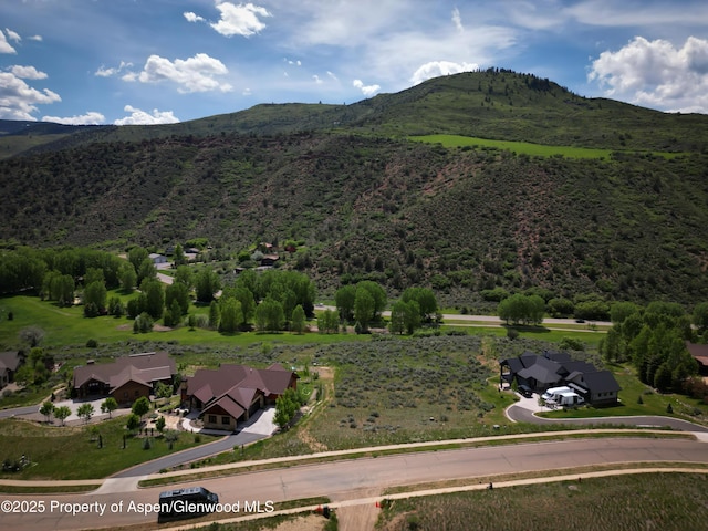 160 Maroon Dr, Glenwood Springs, CO 81601 - photo 18