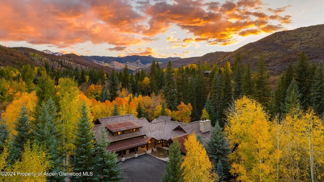 403 Whisperwind Way, Snowmass, CO 81654 - photo 32