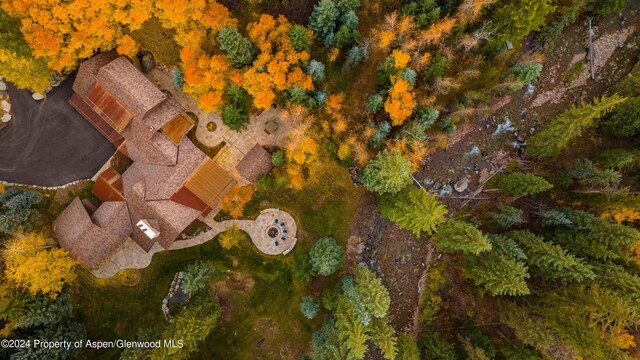 403 Whisperwind Way, Snowmass, CO 81654 - photo 37