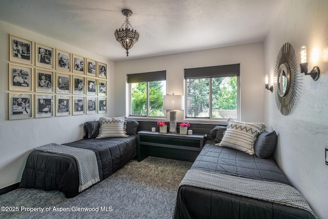 271 Cedar Cv, Glenwood Springs, CO 81601 - photo 28