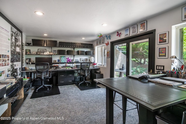 271 Cedar Cv, Glenwood Springs, CO 81601 - photo 30