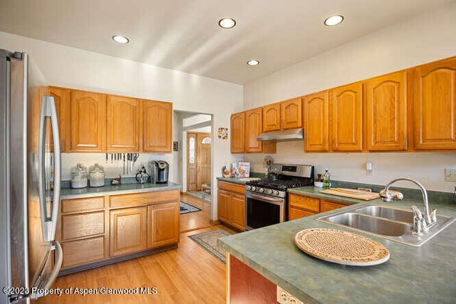 kitchen featuring sink, appliances with stainless steel finishes, and light hardwood / wood-style flooring