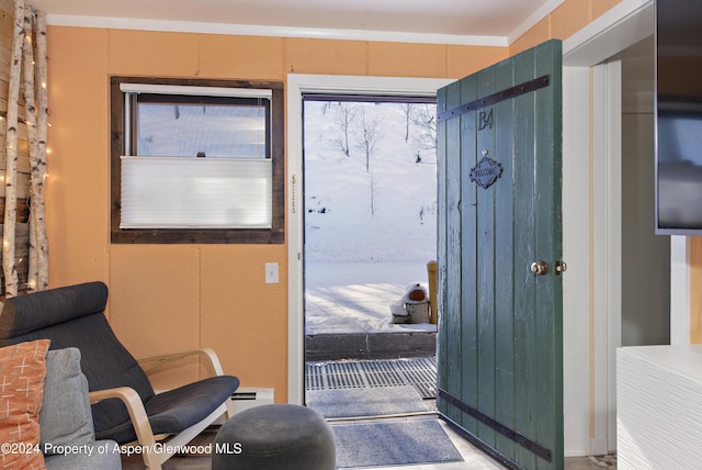 11101 County Road 117 Unit B4, Glenwood Springs, CO 81601 - view of doorway