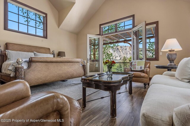 36 Primrose Ln, Carbondale, CO 81623 - living area featuring hardwood / wood-style flooring and high vaulted ceiling