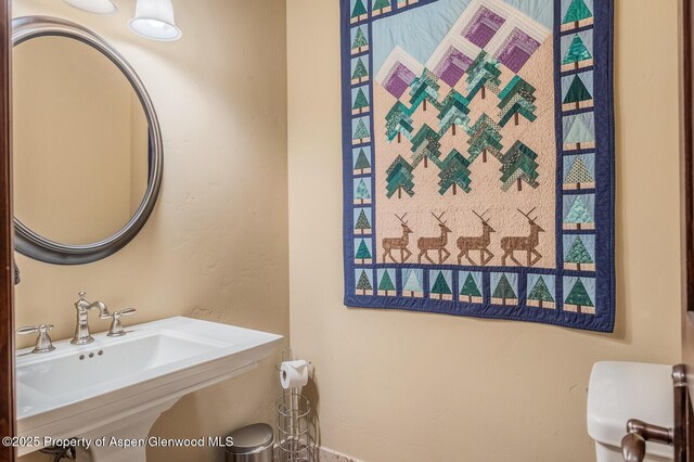 36 Primrose Ln, Carbondale, CO 81623 - half bath featuring toilet and a sink