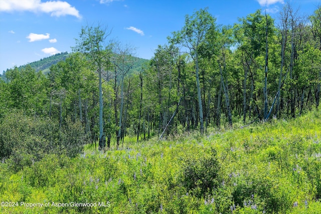 TBD Trentaz Drive, Aspen, CO 81611 - photo 7