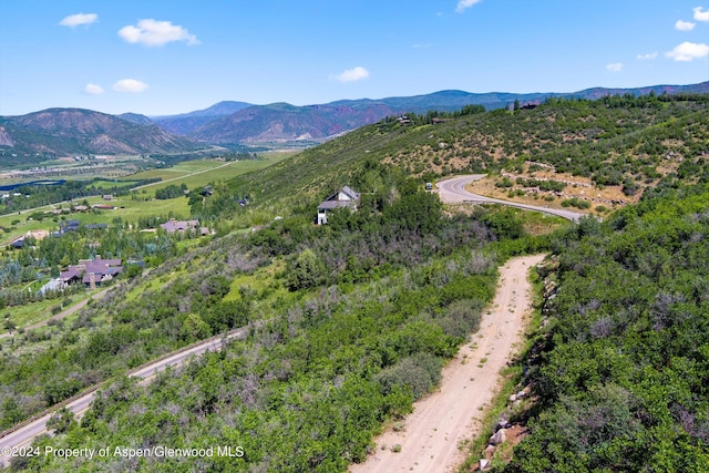 TBD Trentaz Drive, Aspen, CO 81611 - photo 12