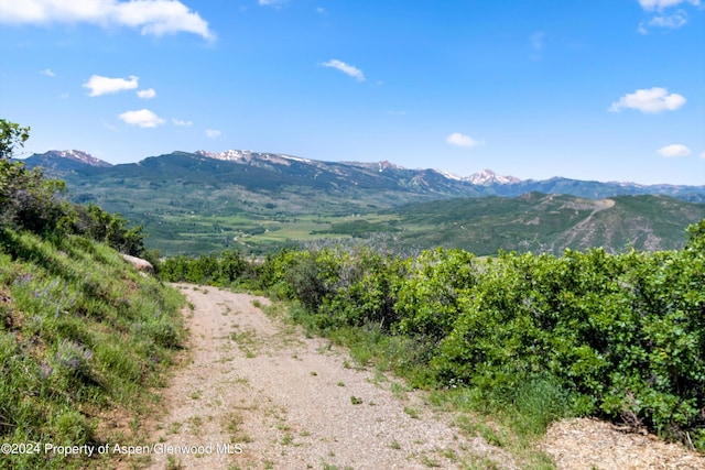TBD Trentaz Drive, Aspen, CO 81611 - photo 18