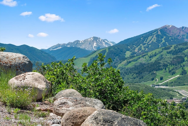 TBD Trentaz Drive, Aspen, CO 81611 - photo 25
