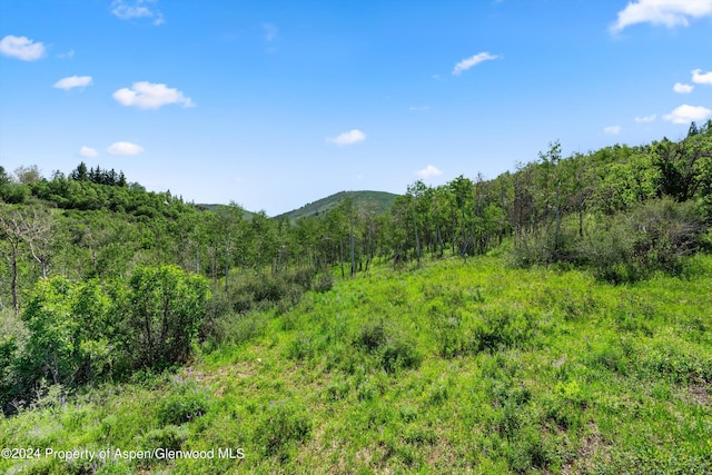 TBD Trentaz Drive, Aspen, CO 81611 - photo 8