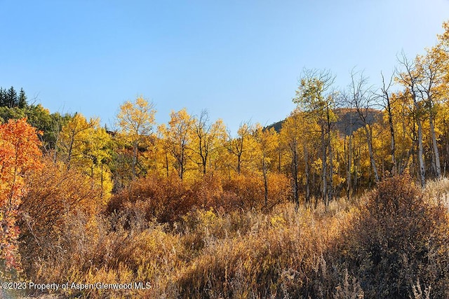 TBD Trentaz Drive, Aspen, CO 81611 - photo 48