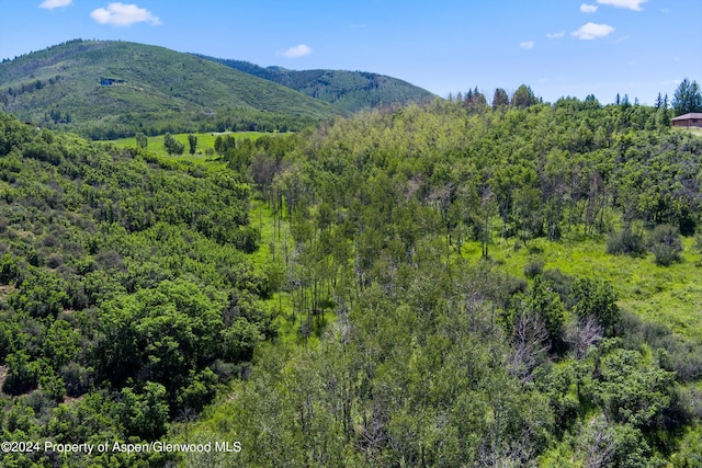 TBD Trentaz Drive, Aspen, CO 81611 - photo 4