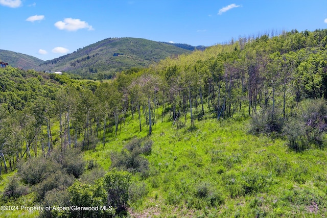 TBD Trentaz Drive, Aspen, CO 81611 - photo 3
