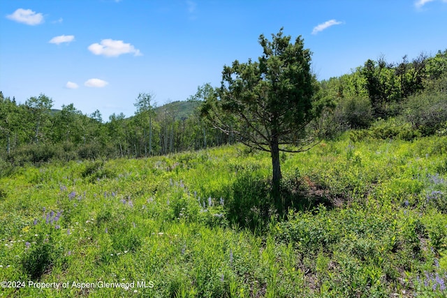 TBD Trentaz Drive, Aspen, CO 81611 - photo 6
