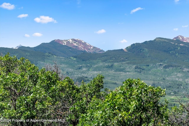TBD Trentaz Drive, Aspen, CO 81611 - photo 21