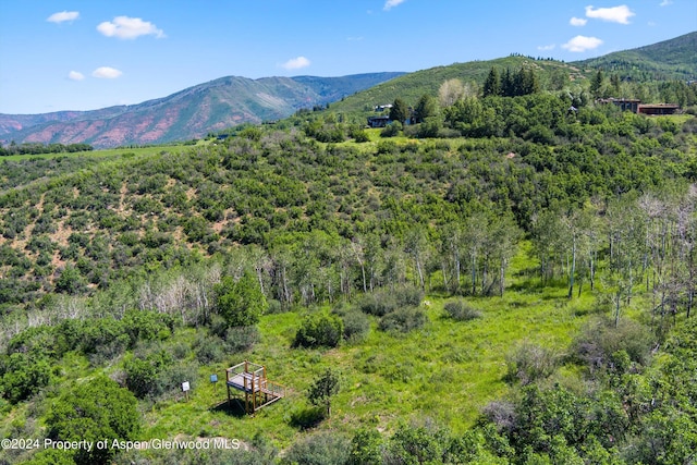 TBD Trentaz Dr, Aspen CO, 81611 land for sale