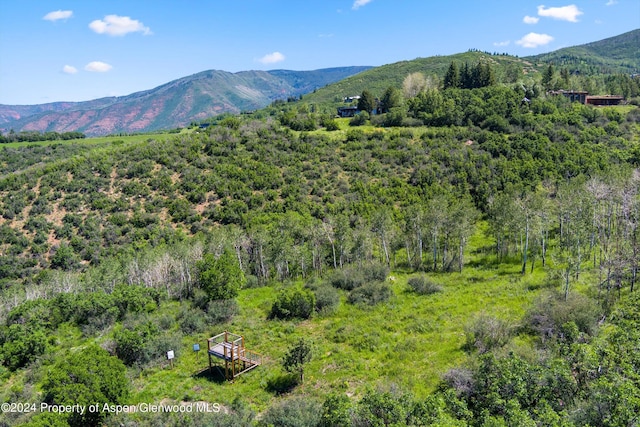 TBD Trentaz Drive, Aspen, CO 81611 - photo 1