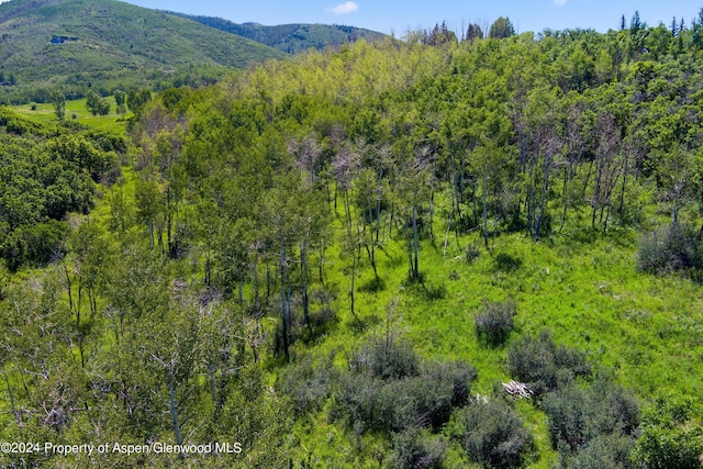 TBD Trentaz Drive, Aspen, CO 81611 - photo 11