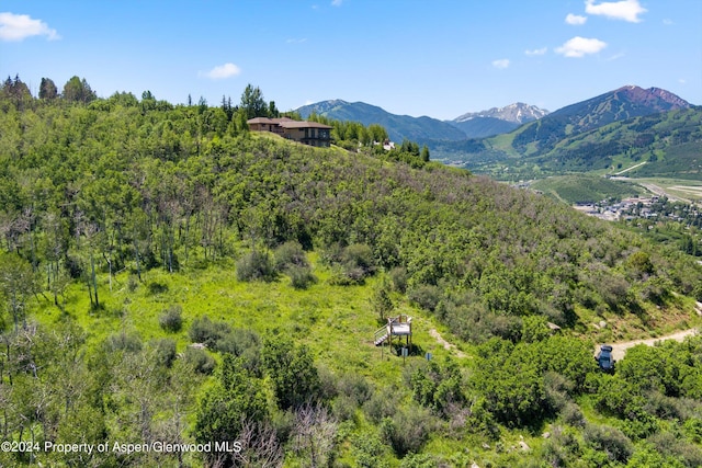 TBD Trentaz Drive, Aspen, CO 81611 - photo 13