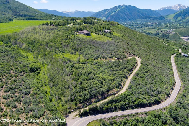 TBD Trentaz Drive, Aspen, CO 81611 - photo 16