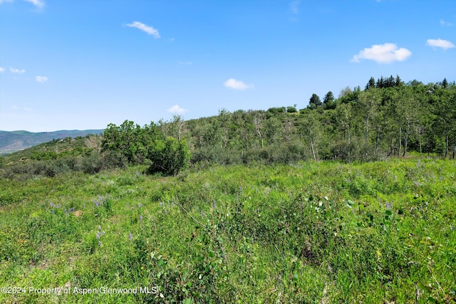 TBD Trentaz Drive, Aspen, CO 81611 - photo 10