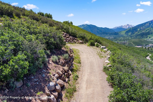 TBD Trentaz Drive, Aspen, CO 81611 - photo 19
