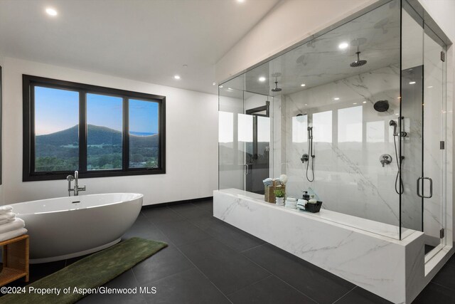 bathroom featuring a mountain view and plus walk in shower