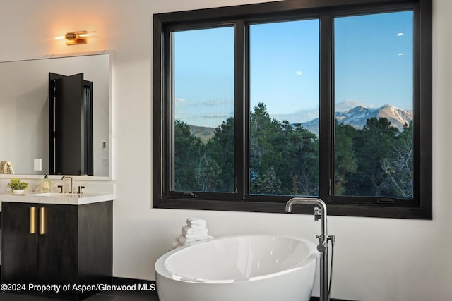 bathroom featuring vanity, a bathtub, and a mountain view