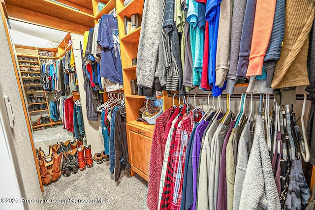 walk in closet featuring light colored carpet