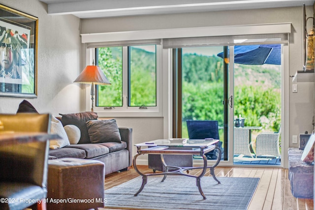 living room featuring beamed ceiling and light hardwood / wood-style floors