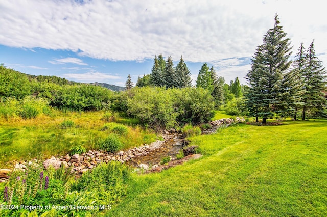 115 Harleston Grn Unit 63, Snowmass Village, CO 81615 - view of yard with a mountain view