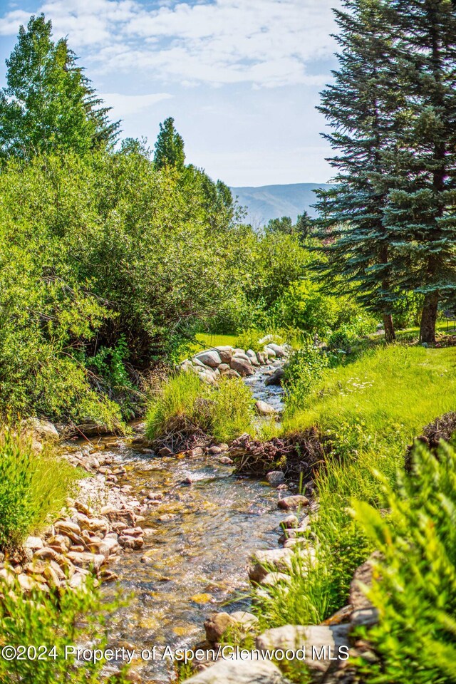 115 Harleston Grn Unit 63, Snowmass Village, CO 81615 - water view featuring a forest