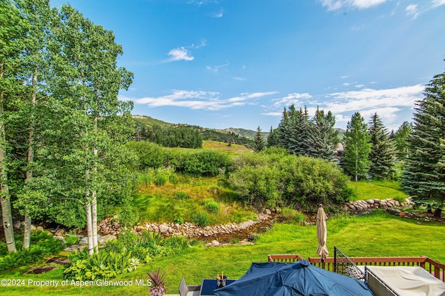 view of community featuring a mountain view and a yard