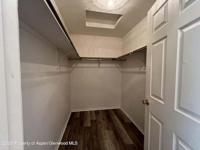 walk in closet featuring dark wood-type flooring