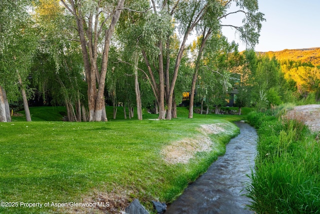 102 Evans Rd Unit 104, Basalt, CO 81621 - view of grassy yard