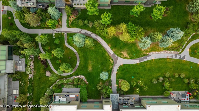 102 Evans Rd Unit 104, Basalt, CO 81621 - drone / aerial view