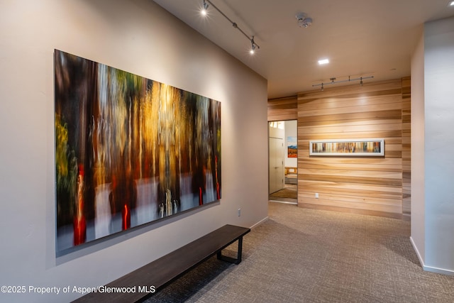 102 Evans Rd Unit 104, Basalt, CO 81621 - hallway with rail lighting, carpet, and wooden walls
