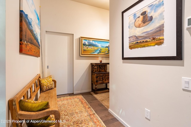 102 Evans Rd Unit 104, Basalt, CO 81621 - corridor with wood finished floors and baseboards