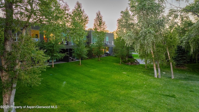 102 Evans Rd Unit 104, Basalt, CO 81621 - view of grassy yard