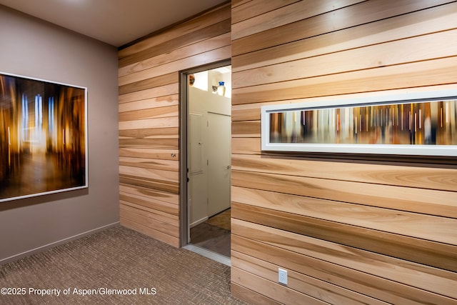 102 Evans Rd Unit 104, Basalt, CO 81621 - sauna featuring wood walls and carpet floors