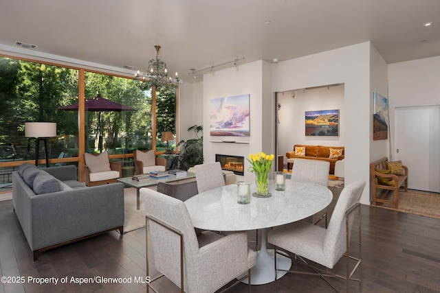102 Evans Rd Unit 104, Basalt, CO 81621 - dining area with wood finished floors, a chandelier, track lighting, and a glass covered fireplace