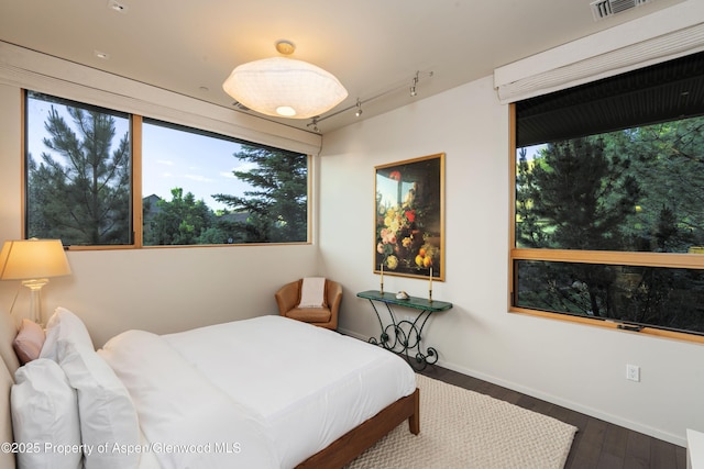 102 Evans Rd Unit 104, Basalt, CO 81621 - bedroom with wood finished floors, multiple windows, and rail lighting