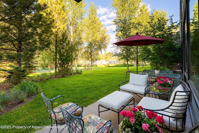 102 Evans Rd Unit 104, Basalt, CO 81621 - view of patio / terrace