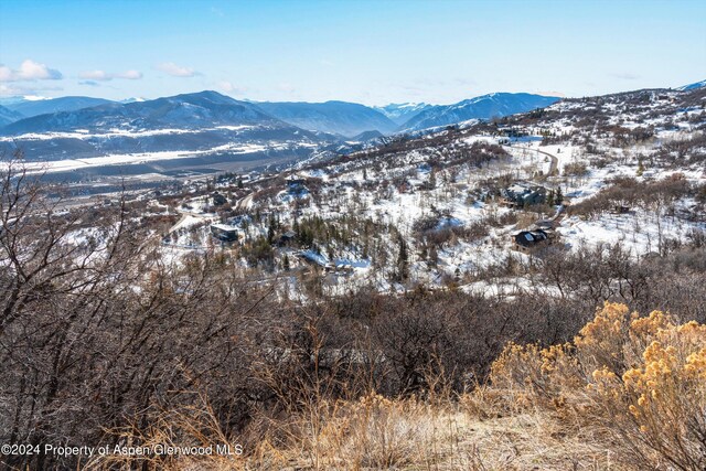 TBD Medicine Bow Rd, Aspen, CO 81611 - photo 30
