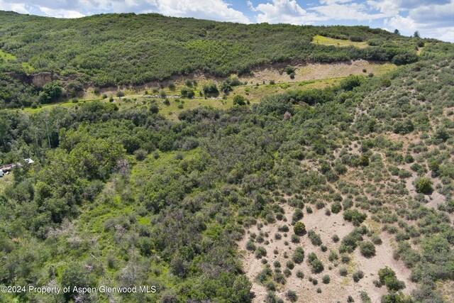 TBD Medicine Bow Rd, Aspen, CO 81611 - photo 16
