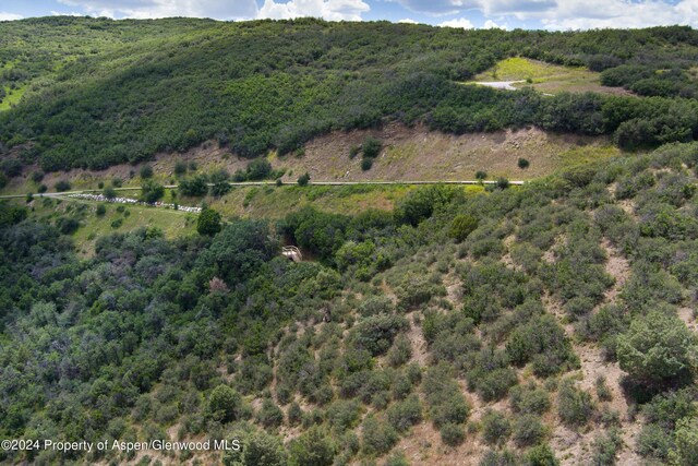 TBD Medicine Bow Rd, Aspen, CO 81611 - photo 19