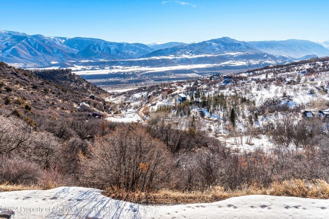 TBD Medicine Bow Rd, Aspen, CO 81611 - photo 32