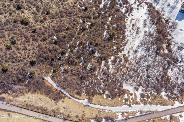 TBD Medicine Bow Rd, Aspen, CO 81611 - photo 38