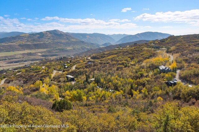 TBD Medicine Bow Rd, Aspen, CO 81611 - photo 4