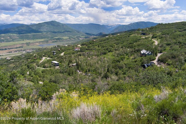 TBD Medicine Bow Rd, Aspen, CO 81611 - photo 12